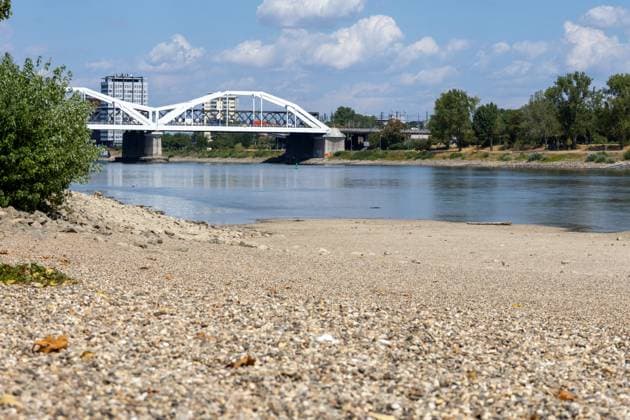 Extremes Niedrigwasser am Rhein in Mannheim und Ludwigshafen. Hier lag der Pegelstand zum Zeitpunkt der Aufnahme bei 85 cm. Das Bild wurde auf der Parkinsel Ludwigshafen aufgenommen *** Extremely low water levels on the Rhine in Mannheim and Ludwigshafen. At the time the photo was taken, the water level here was 85 cm. The photo was taken on Parkinsel in Ludwigshafen. Copyright: xUdoxHerrmannx