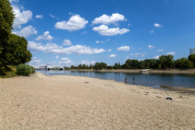 Extremes Niedrigwasser am Rhein in Mannheim und Ludwigshafen. Hier lag der Pegelstand zum Zeitpunkt der Aufnahme bei 85 cm. Das Bild wurde auf der Parkinsel Ludwigshafen aufgenommen *** Extremely low water levels on the Rhine in Mannheim and Ludwigshafen. At the time the photo was taken, the water level here was 85 cm. The photo was taken on Parkinsel in Ludwigshafen. Copyright: xUdoxHerrmannx