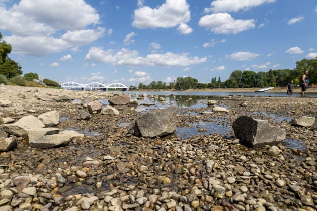 Extremes Niedrigwasser am Rhein in Mannheim und Ludwigshafen. Hier lag der Pegelstand zum Zeitpunkt der Aufnahme bei 85 cm. Das Bild wurde auf der Parkinsel Ludwigshafen aufgenommen *** Extremely low water levels on the Rhine in Mannheim and Ludwigshafen. At the time the photo was taken, the water level here was 85 cm. The photo was taken on Parkinsel in Ludwigshafen. Copyright: xUdoxHerrmannx