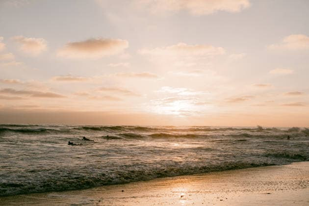 Surfers in the ocean during a golden sunset Oceanside, California, United States R_HVJM260804-2092714-01 ,model released, Symbolfoto ,property released