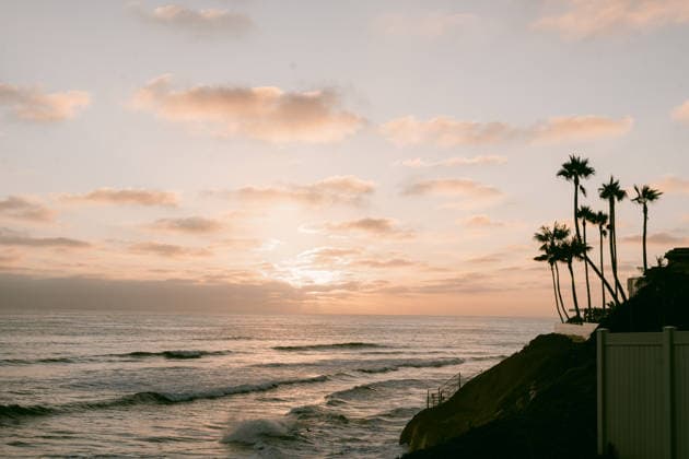California coastline with palm trees at golden hour Encinitas, California, United States R_HVJM260804-2092717-01 ,model released, Symbolfoto ,property released