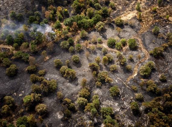 OOSTRUM - Aerial photos of the Boschhuizerbergen nature reserve near Venray in Limburg, where the fire department is battling a large wildfire. The fire department is receiving assistance from Belgium in fighting the fire. SEM VAN DER WAL ANP netherlands out - belgium out  Copyright: xx x564915366x originalFilename: 564915366.jpg