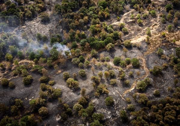 OOSTRUM - Aerial photos of the Boschhuizerbergen nature reserve near Venray in Limburg, where the fire department is battling a large wildfire. The fire department is receiving assistance from Belgium in fighting the fire. SEM VAN DER WAL ANP netherlands out - belgium out  Copyright: xx x564915439x originalFilename: 564915439.jpg