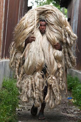 August 5, 2026, Ghior, Manikganj, Bangladesh: A laborer carries a bundle of raw jute weighing approximately 50 kg at Ghior jute market in Manikganj, Bangladesh. Bangladesh is the world s second largest producer of jute, a biodegradable natural fiber known as the Golden Fiber for its silky texture and golden sheen. Long used to make sacks, hessian cloth and rope, jute is now also used in a growing range of eco-friendly products, including mats, luggage, footwear, biodegradable Sonali Bags as an alternative to polythene, and fibre-reinforced composite materials. Workers at the market typically earn around US $12 per day. Ghior Bangladesh  - ZUMAk174 20260805_zip_k174_015 Copyright: xSyedxMahabubulxKaderx