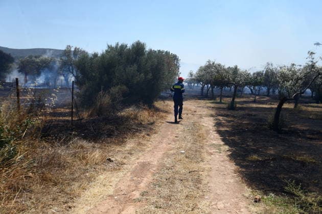 August 5, 2026, Koropi, Greece: Firefighters battle a wildfire in the Koropi area, southeast of Athens, as helicopters carry out repeated water drops to contain the flames. Ground crews worked alongside aerial firefighting units to prevent the fire from spreading amid dry conditions and strong winds. Koropi Greece - ZUMAv62_ 20260805_zaf_v62_001 Copyright: xAristidisxVafeiadakisx
