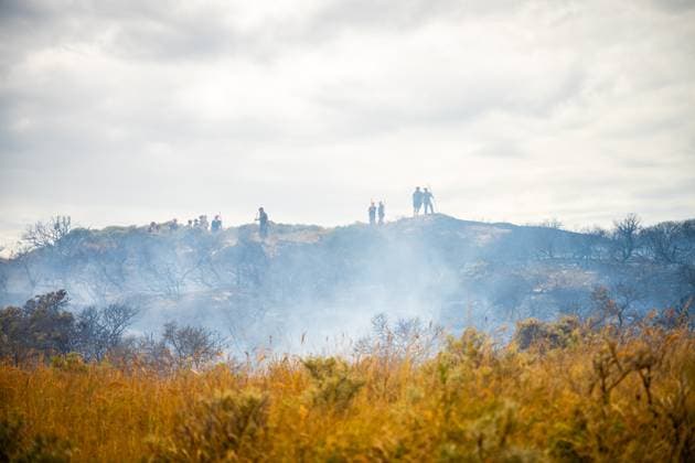 WASSENAAR - A fire in the dunes near Wassenaar. The fire department has dispatched many personnel and vehicles to the scene. JOSH WALET ANP netherlands out - belgium out  Copyright: xx x564921068x originalFilename: 564921068.jpg