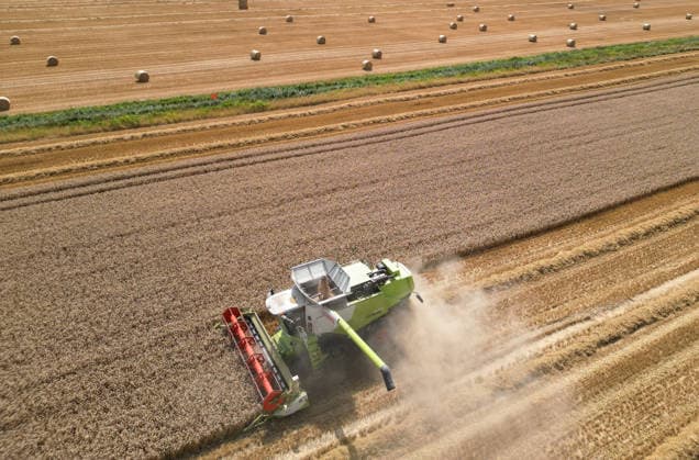 Getreideernte am Limit Trockenheit erhöht Brandgefahr. In Ditzumerverlaat im Landkreis Leer erreicht die Getreideernte ihren Höhepunkt. Mähdrescher arbeiten sich durch das staubtrockene Korn, während dichte Staubwolken über die Felder ziehen. Die anhaltende Trockenheit ist allgegenwärtig und mit jedem heißen Tag steigt die Gefahr eines Flächenbrandes. Ditzum Niedersachsen Deutschland *** Grain Harvest Reaches Its Peak; Drought Increases Fire Risk In Ditzumerverlaat, in the district of Leer, the grain harvest is in full swing. Combine harvesters are working their way through the bone-dry grain, while thick clouds of dust drift across the fields. The ongoing drought is ever-present, and with every hot day, the risk of a wildf Copyright: xdiebildwerftx