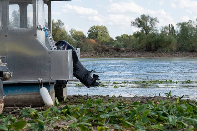 Niedrigwasser am Rhein bei Oestrich-Winkel Der Pegel des Rheins erreicht einen historischen Tiefstand. Nachdem der Pegel Kaub in den vergangenen 24 Stunden erneut um acht Zentimeter gefallen war, erreichte er am Mittwochnachmittag, 05.08.2026, erstmalig den Stand von 18 cm. Kurzzeitig wurden sogar 17 cm Pegelstand erreicht. Bereits seit Wochen ist die Schifffahrt durch den Wassermangel erheblich behindert. Der heutige Tiefstand dürfte die Situation noch verschärfen. Oestrich-Winkel Hessen Deutschland *** Low Water Levels on the Rhine Near Oestrich-Winkel The Rhine’s water level has reached a historic low. After the water level at Kaub had fallen another eight centimeters over the past 24 hours, it reached August 5, 2026, the level reache