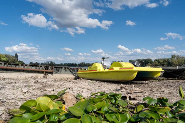 Niedrigwasser am Rhein bei Oestrich-Winkel Der Pegel des Rheins erreicht einen historischen Tiefstand. Nachdem der Pegel Kaub in den vergangenen 24 Stunden erneut um acht Zentimeter gefallen war, erreichte er am Mittwochnachmittag, 05.08.2026, erstmalig den Stand von 18 cm. Kurzzeitig wurden sogar 17 cm Pegelstand erreicht. Bereits seit Wochen ist die Schifffahrt durch den Wassermangel erheblich behindert. Der heutige Tiefstand dürfte die Situation noch verschärfen. Oestrich-Winkel Hessen Deutschland *** Low Water Levels on the Rhine Near Oestrich-Winkel The Rhine’s water level has reached a historic low. After the water level at Kaub had fallen another eight centimeters over the past 24 hours, it reached August 5, 2026, the level reache