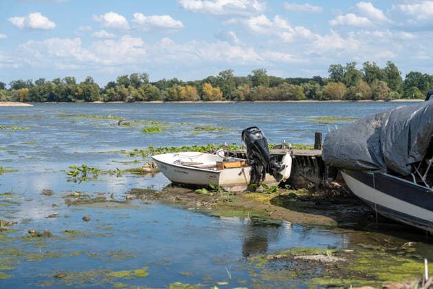 Niedrigwasser am Rhein bei Oestrich-Winkel Der Pegel des Rheins erreicht einen historischen Tiefstand. Nachdem der Pegel Kaub in den vergangenen 24 Stunden erneut um acht Zentimeter gefallen war, erreichte er am Mittwochnachmittag, 05.08.2026, erstmalig den Stand von 18 cm. Kurzzeitig wurden sogar 17 cm Pegelstand erreicht. Bereits seit Wochen ist die Schifffahrt durch den Wassermangel erheblich behindert. Der heutige Tiefstand dürfte die Situation noch verschärfen. Oestrich-Winkel Hessen Deutschland *** Low Water Levels on the Rhine Near Oestrich-Winkel The Rhine’s water level has reached a historic low. After the water level at Kaub had fallen another eight centimeters over the past 24 hours, it reached August 5, 2026, the level reache