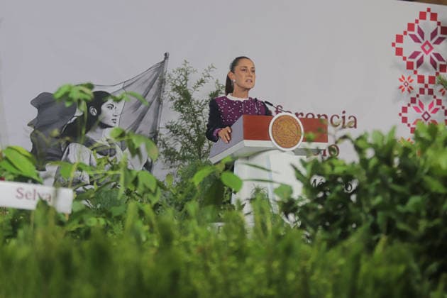 Mexico™s President Claudia Sheinbaum Holds Briefing Mexican President Claudia Sheinbaum speaks during her press conference about upcoming National Reforestation Day, a nationwide environmental initiative scheduled to take place on Sunday, August 9, across all 32 states of the country. on August 5, 2026 in Mexico City, Mexico. (Photo by Carlos Santiago Eyepix Group) Copyright: xCarlosxSantiagox xEyepixxGroupx CS_05082026_193971