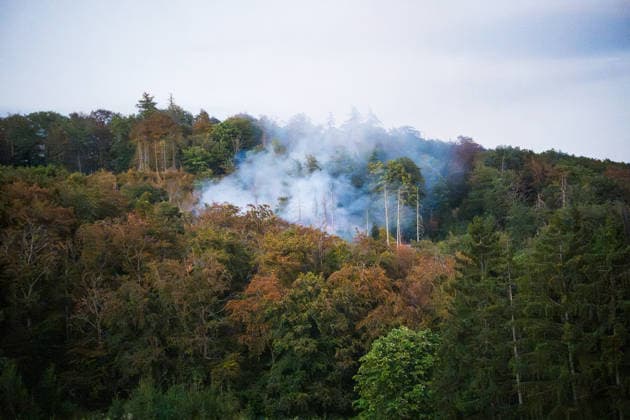 Mehr als 20.000 Quadratmeter Wald in Brand 150 Einsatzkräfte bei Hitze im Großeinsatz In einem Waldgebiet zwischen Bad Schwalbach-Hettenhain und Taunusstein-Seitzenhahn brach am 05.08.2026 gegen 13:20 Uhr ein Waldbrand aus. Ein Fichtenbestand stand beim Eintreffen der Einsatzkräfte bis in die Baumkronen in Flammen, Wind sorgte für eine schnelle Ausbreitung auf über 20.000 Quadratmeter. Der größte Brandbereich war zu diesem Zeitpunkt weitgehend eingedämmt, galt jedoch weiterhin nicht als unter Kontrolle, da Wind und Funkenflug neue Spotfeuer entstehen ließen. Rund 150 Einsatzkräfte aus dem Rheingau-Taunus-Kreis und aus Wiesbaden waren im Einsatz, eine Einsatzkraft wurde leicht verletzt. Bad Schwalbach Hessen Deutschland *** Mo