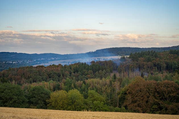 Mehr als 20.000 Quadratmeter Wald in Brand 150 Einsatzkräfte bei Hitze im Großeinsatz In einem Waldgebiet zwischen Bad Schwalbach-Hettenhain und Taunusstein-Seitzenhahn brach am 05.08.2026 gegen 13:20 Uhr ein Waldbrand aus. Ein Fichtenbestand stand beim Eintreffen der Einsatzkräfte bis in die Baumkronen in Flammen, Wind sorgte für eine schnelle Ausbreitung auf über 20.000 Quadratmeter. Der größte Brandbereich war zu diesem Zeitpunkt weitgehend eingedämmt, galt jedoch weiterhin nicht als unter Kontrolle, da Wind und Funkenflug neue Spotfeuer entstehen ließen. Rund 150 Einsatzkräfte aus dem Rheingau-Taunus-Kreis und aus Wiesbaden waren im Einsatz, eine Einsatzkraft wurde leicht verletzt. Bad Schwalbach Hessen Deutschland *** Mo
