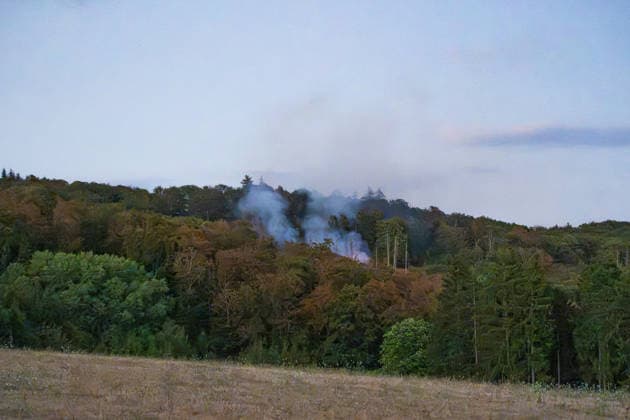 Mehr als 20.000 Quadratmeter Wald in Brand 150 Einsatzkräfte bei Hitze im Großeinsatz In einem Waldgebiet zwischen Bad Schwalbach-Hettenhain und Taunusstein-Seitzenhahn brach am 05.08.2026 gegen 13:20 Uhr ein Waldbrand aus. Ein Fichtenbestand stand beim Eintreffen der Einsatzkräfte bis in die Baumkronen in Flammen, Wind sorgte für eine schnelle Ausbreitung auf über 20.000 Quadratmeter. Der größte Brandbereich war zu diesem Zeitpunkt weitgehend eingedämmt, galt jedoch weiterhin nicht als unter Kontrolle, da Wind und Funkenflug neue Spotfeuer entstehen ließen. Rund 150 Einsatzkräfte aus dem Rheingau-Taunus-Kreis und aus Wiesbaden waren im Einsatz, eine Einsatzkraft wurde leicht verletzt. Bad Schwalbach Hessen Deutschland *** Mo