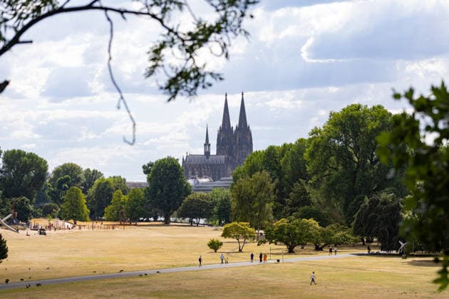 Vertrocknete Wiesen im Rheinpark vor dem Kölner Dom Blick vom Rheinpark in Köln-Deutz auf den Kölner Dom: Anhaltende Hitze und Trockenheit lassen die Wiesen des 1957 zur Bundesgartenschau angelegten Parks vertrocknen, Spaziergänger nutzen die Grünanlage dennoch für einen Ausflug. Köln Rheinpark Nordrhein-Westfalen Deutschland *** Parched meadows in the Rheinpark in front of Cologne Cathedral; view of Cologne Cathedral from the Rheinpark in Cologne-Deutz; persistent heat and drought are causing the meadows of the park—which was created in 1957 for the Federal Horticultural Show—to dry up, but walkers are still using the park for a stroll Cologne Rheinpark North Rhine-Westphalia Germany Copyright: xMarcxJohnx