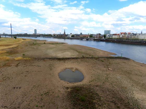 so sieht das im Ernstfall aus - Trockenheit - Hitze - Duerre Duesseldorf Rheinufer linksseitig trocken gefallen Niedrigwasser Skyline *** This is what it looks like in an emergency: Drought, heat, drought, Düsseldorf, left bank of the Rhine, dry, fallen, low water, skyline