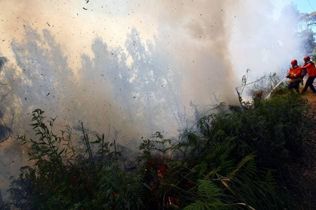 Forest Fire in Bromo Tengger Semeru National Park, Indonesia EAST JAVA, INDONESIA AUGUST 6, 2026: Firefighters battle a wildfire in Bromo Tengger Semeru National Park, East Java, Indonesia, on August 6, 2026. The fire, which broke out on August 3, has spread across approximately 70 hectares, as authorities continue efforts to contain the blaze and prevent it from spreading further. East Java Indonesia Copyright: x xHayuxYudhaxPrabowox xJNAxPressx