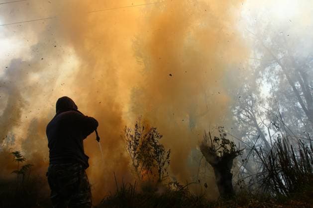 Forest Fire in Bromo Tengger Semeru National Park, Indonesia EAST JAVA, INDONESIA AUGUST 6, 2026: Firefighters battle a wildfire in Bromo Tengger Semeru National Park, East Java, Indonesia, on August 6, 2026. The fire, which broke out on August 3, has spread across approximately 70 hectares, as authorities continue efforts to contain the blaze and prevent it from spreading further. East Java Indonesia Copyright: x xHayuxYudhaxPrabowox xJNAxPressx