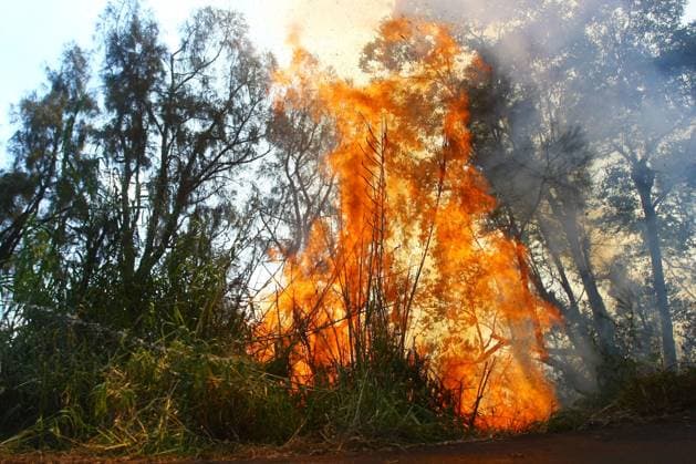 Forest Fire in Bromo Tengger Semeru National Park, Indonesia EAST JAVA, INDONESIA AUGUST 6, 2026: Firefighters battle a wildfire in Bromo Tengger Semeru National Park, East Java, Indonesia, on August 6, 2026. The fire, which broke out on August 3, has spread across approximately 70 hectares, as authorities continue efforts to contain the blaze and prevent it from spreading further. East Java Indonesia Copyright: x xHayuxYudhaxPrabowox xJNAxPressx