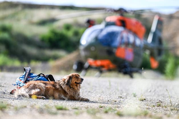 Übung für den Ernstfall: Bundeswehr-Heli und Hilfsorganisation, Ein SAR-Rettungshubschrauber vom Typ Airbus H145 der Bundeswehr übt gemeinsam mit Rettungshundestaffeln der Bergwacht und der Malteser in einem Steinbruch bei Bartholomä. Trainiert werden unter anderem die Zusammenarbeit der Einsatzkräfte sowie die Suche und Rettung von vermissten oder verletzten Personen in schwierigem Gelände. Bartholomä Baden-Württemberg Deutschland Bartholomä *** Emergency Drill: German Armed Forces Helicopter and Aid Organization, A Bundeswehr Airbus H145 SAR rescue helicopter is conducting a drill together with search-and-rescue dog teams from the Mountain Rescue Service and the Malteser in a quarry near Bartholomä. Among other things, the drill Copyright: x xonw-imagesx x-x
