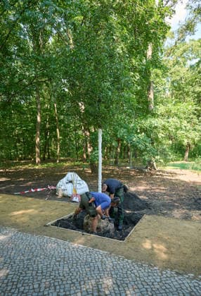 Nach der Attacke auf den Berliner Christopher Street Day (CSD) wird am Donnerstag (06.08.2026) im Tiergarten ein neuer Baum am Anschlagsort gepflanzt. Ein franzoesischer Ahorn ersetzt den Baum, der infolge des Anschlags gefaellt wurde. Der Baum soll ein schuetzendes Metallgitter erhalten, an dem Karten, Fotos, Blumen und persoenliche Botschaften angebracht werden koennen. Neben dem Baum stellt das Bezirksamt eine Bank in den Farben des Regenbogens auf. Diese soll zum Innehalten, Verweilen und zur stillen Anteilnahme einladen und Solidaritaet mit der queeren Community zum Ausdruck bringen. (Siehe epd-Meldung vom 06.08.2026) EDITORIAL USE ONLY *** Following the attack on Berlin’s Christopher Street Day (CSD), a new tree will be planted on Thu Copyright: epd-bild ChristianxDitsch D26D0806CSDAnschlagGedenkort105409