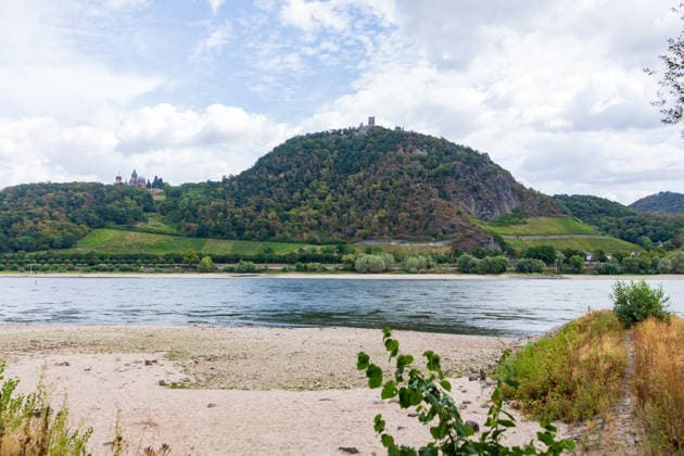 Historisches Niedrigwasser: Pegel Oberwinter fällt auf 1 cm Blick von Bonn-Mehlem auf den Drachenfels (Mitte) und Drachenburg (links) und der Große Oelberg (rechts) im Siebengebirge: Im Vordergrund liegt das weitgehend ausgetrocknete Flussbett des Rheins bei historischem Niedrigwasser der Pegel Oberwinter fällt auf nur noch 1 cm, der Pegel Bonn liegt bei 76 cm. Anhaltende Trockenheit lässt den Rhein weiter sinken, die Rheinschifffahrt ist stark eingeschränkt. Bonn Mehlem Nordrhein-Westfalen Deutschland *** Historically low water levels: The Oberwinter gauge drops to 1 cm. View from Bonn Mehlem toward the Drachenfels in the center, Drachenburg on the left, and the Großer Oelberg on the right in the Siebengebirge. In the foreground l Copyright: xMarcxJohnx