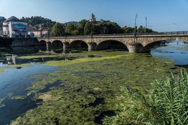 August 6, 2026, Turin, To, Italy: Algae on the surface of the dry Po River, Turin, 06 08 2026. Turin Italy  - ZUMAa289 20260806_zia_a289_013 Copyright: xSelenexDanielex xAgfx