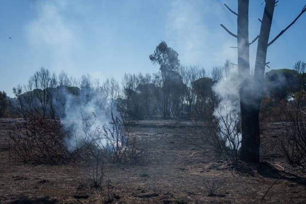 Forest Fire Reported in Lucena del Puerto, Huelva Areas Affected by the Forest Fire in the Municipality of Lucena del Puerto, Huelva As of August 6, 2026, in Lucena del Puerto, Huelva, Andalusia, Spain. About thirty firefighters from the Infoca Plan worked through the early hours of Thursday, August 6, to combat the wildfire that broke out on the afternoon of Wednesday, August 5, in the Santa Catalina area of the municipality of Lucena del Puerto, Huelva, which is affecting an area of pine forest and scrubland. AUGUST 6, 2026 Francisco J Lucena del Puerto, Huelva, Andalusia Lucena del Puerto, Huelva, Andalusia, Spain  Copyright: xFranciscoxJ.xOlmox 7703597
