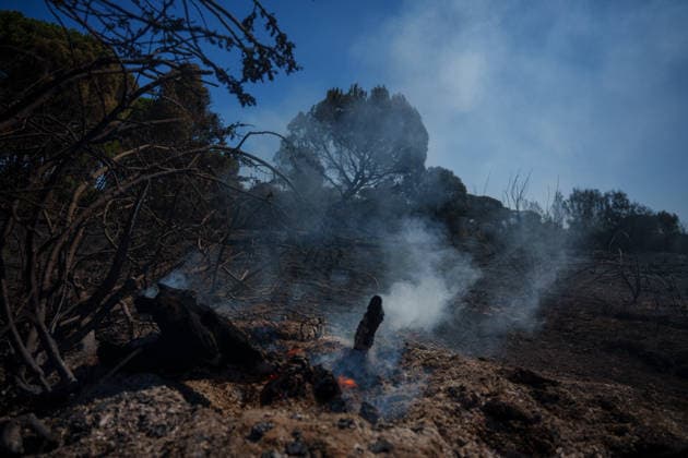 Forest Fire Reported in Lucena del Puerto, Huelva Areas Affected by the Forest Fire in the Municipality of Lucena del Puerto, Huelva As of August 6, 2026, in Lucena del Puerto, Huelva, Andalusia, Spain. About thirty firefighters from the Infoca Plan worked through the early hours of Thursday, August 6, to combat the wildfire that broke out on the afternoon of Wednesday, August 5, in the Santa Catalina area of the municipality of Lucena del Puerto, Huelva, which is affecting an area of pine forest and scrubland. AUGUST 6, 2026 Francisco J Lucena del Puerto, Huelva, Andalusia Lucena del Puerto, Huelva, Andalusia, Spain  Copyright: xFranciscoxJ.xOlmox 7703602