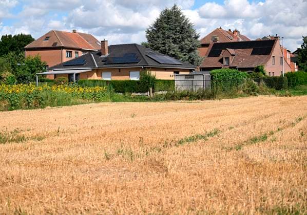 Drought in Flemish Brabant FLEMISH BRABANT, BELGIUM - AUGUST 06 : Drought in Flemish Brabant on August 6, 2026 in Flemish Brabant, Belgium, 06 08 2026 Flemish Brabant Belgium  Copyright: xDidierxLebrunx