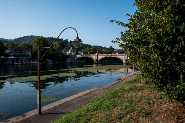 IPA87281653 - Turin. The Po River is feeling the effects of weeks of intense heat and drought: the river™s water level has dropped significantly, and where the current slows, algae and invasive plant species find fertile ground to spread.  Copyright: xRiccardoxGIordanox xRiccardoxGiordanox 87281653