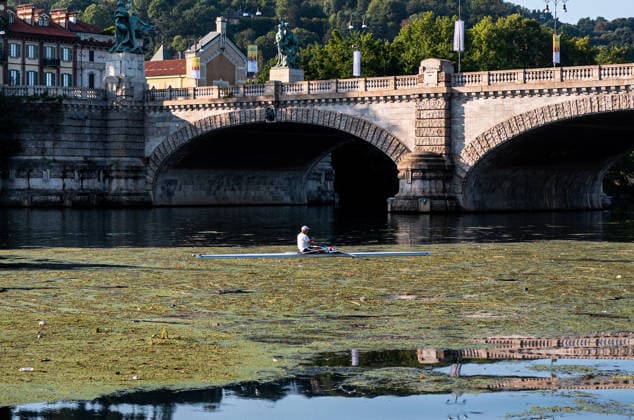 IPA87281663 - Turin. The Po River is feeling the effects of weeks of intense heat and drought: the river™s water level has dropped significantly, and where the current slows down, algae and invasive plant species find fertile ground to spread.  Copyright: xRiccardoxGIordanox xRiccardoxGiordanox 87281663