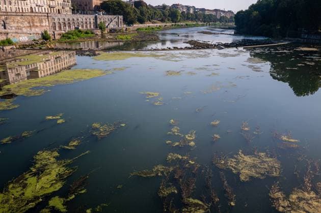 IPA87281671 - Turin. The Po River is feeling the effects of weeks of intense heat and drought: the river™s water level has dropped significantly, and where the current slows, algae and invasive plant species find fertile ground to spread.  Copyright: xRiccardoxGIordanox xRiccardoxGiordanox 87281671