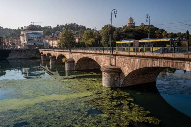 IPA87281675 - Turin. The Po River is feeling the effects of weeks of intense heat and drought: the river™s water level has dropped significantly, and where the current slows, algae and invasive plant species find fertile ground to spread.  Copyright: xRiccardoxGIordanox xRiccardoxGiordanox 87281675