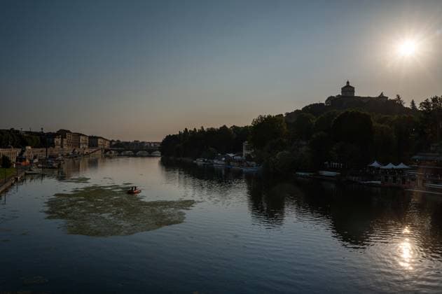 IPA87281577 - Turin. The Po River is feeling the effects of weeks of intense heat and drought: the river™s water level has dropped significantly, and where the current slows down, algae and invasive plant species find fertile ground to spread.  Copyright: xRiccardoxGIordanox xRiccardoxGiordanox 87281577