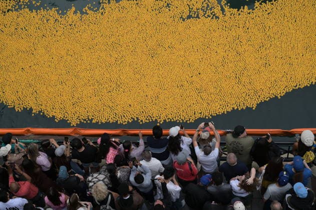 Chicago Ducky derby marks 21st anniversary CHICAGO, ILLINOIS, UNITED STATES - AUGUST 6: Thousands of rubber ducks race down the Chicago River during the 21st annual Chicago Ducky Derby in Chicago, Illinois, United States, on August 6, 2026. The annual event raised funds for Special Olympics Illinois and attracted large crowds as participants and spectators gathered along the river to mark the 21st edition of the charity race. Jacek Boczarski Anadolu Chicago United States. Editorial use only. Please get in touch for any other usage.  Copyright: x2026xAnadoluxJacekxBoczarskix