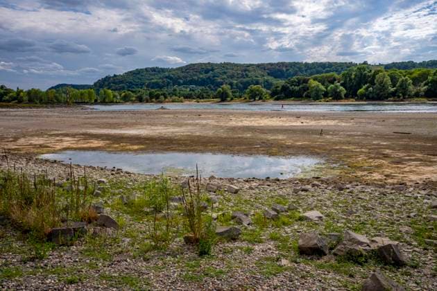 Niedrigwasser im Rhein, Sandbänke, am rechtsrheinischen Ufer bei Bad Honnef, kaum Schiffsverkehr, Frachter dürfen nur mit stark reduzierter Ladung und verringerter Geschwindigkeit fahren, NRW, Deutschland, Rhein Niedrigwasser *** Low water levels in the Rhine, sandbars, on the right bank of the Rhine near Bad Honnef, hardly any boat traffic; freighters are only allowed to sail with significantly reduced cargo and at reduced speed, North Rhine-Westphalia, Germany, Rhine low water levels