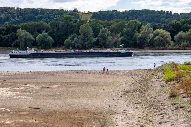 Niedrigwasser im Rhein, Sandbänke, am rechtsrheinischen Ufer bei Bad Honnef, kaum Schiffsverkehr, Frachter dürfen nur mit stark reduzierter Ladung und verringerter Geschwindigkeit fahren, NRW, Deutschland, Rhein Niedrigwasser *** Low water levels in the Rhine, sandbars, on the right bank of the Rhine near Bad Honnef, hardly any boat traffic; freighters are only allowed to sail with significantly reduced cargo and at reduced speed, North Rhine-Westphalia, Germany, Rhine low water levels