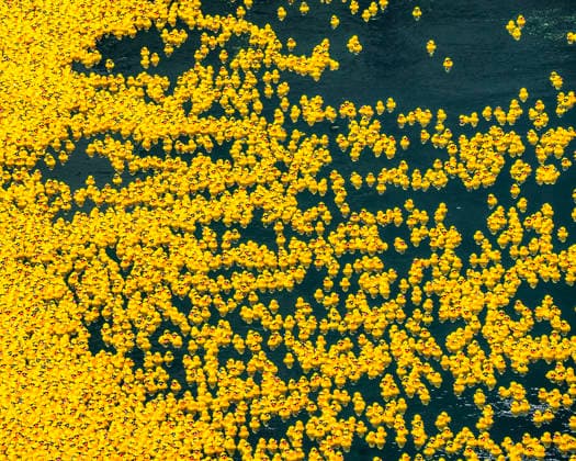 August 6, 2026, Chicago, Illinois, USA: 2026 Chicago Ducky Derby to benefit Special Olimpics. More than 90,000 rubber ducks were dumped into the Chicago River and later collected by the volunteers. Chicago USA - ZUMAk205 20260806_zmp_k205_032 Copyright: xSandraxKozintsevax