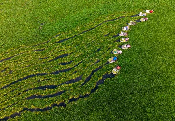 News Bilder des Tages Water Chestnuts Harvest in Taizhou Villagers are rowing buckets on the water surface to collect water chestnuts in Zhangjiayuan Community, Suchen Town, Hailing District, Taizhou City, Jiangsu Province, China on August 7, 2026. Taizhou Jiangsu China  Copyright: xCFOTOx i1786100049831