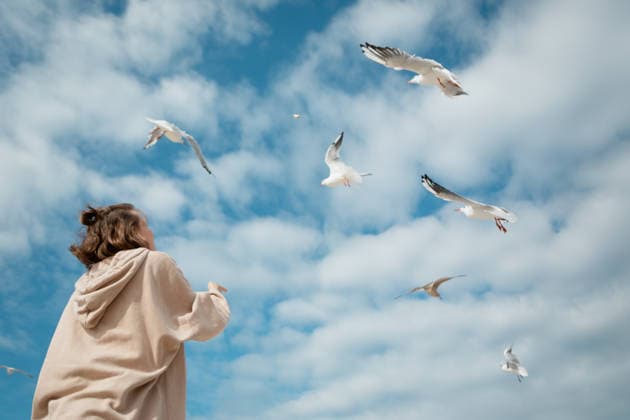 Woman feeds a flock of flying seagulls under a blue cloudy sky model released, Symbolfoto, EHAF00568