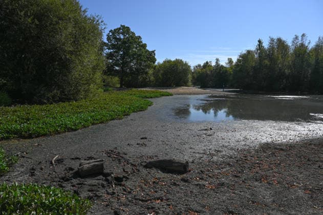 Drought affects ponds in London parks LONDON, UNITED KINGDOM - AUGUST 7: An aerial view shows reduced water levels at Seven Islands Pond in Mitcham Common amid hot weather and drought conditions in London, United Kingdom, on August 7, 2026. Water levels in ponds across the capital’s parks have fallen as the prolonged dry conditions continue. Rasid Necati Aslim Anadolu London United Kingdom. Editorial use only. Please get in touch for any other usage.  Copyright: x2026xAnadoluxRasidxNecatixAslimx