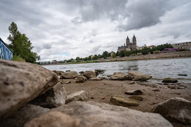 Deutlich niedriger Wasserstand in der Elbe im August 2026 - mit Magdeburger Dom;Niedrigwasser der Elbe in Magdeburg im Sommer 2026, Magdeburg Sachsen-Anhalt Deutschland Elbufer *** Significantly lower water level in the Elbe River in August 2026, with Magdeburg Cathedral in the background; low water level of the Elbe River in Magdeburg in the summer of 2026, Magdeburg, Saxony-Anhalt, Germany, banks of the Elbe River