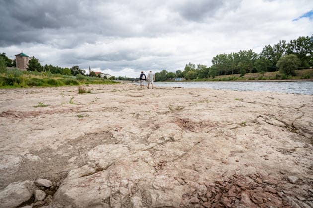 Deutlich niedriger Wasserstand in der Elbe im August 2026;Niedrigwasser der Elbe in Magdeburg im Sommer 2026, Magdeburg Sachsen-Anhalt Deutschland Elbufer *** Significantly lower water levels in the Elbe in August 2026 Low water levels in the Elbe in Magdeburg in the summer of 2026, Magdeburg, Saxony-Anhalt, Germany, on the banks of the Elbe