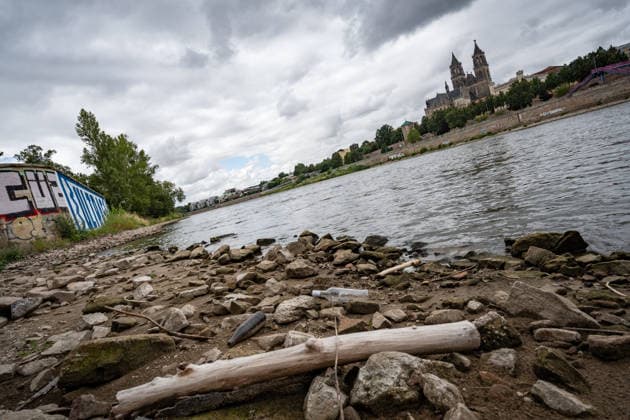 Deutlich niedriger Wasserstand in der Elbe im August 2026 - mit Magdeburger Dom;Niedrigwasser der Elbe in Magdeburg im Sommer 2026, Magdeburg Sachsen-Anhalt Deutschland Elbufer *** Significantly lower water level in the Elbe in August 2026, with Magdeburg Cathedral; low water level of the Elbe in Magdeburg in the summer of 2026, Magdeburg, Saxony-Anhalt, Germany, banks of the Elbe