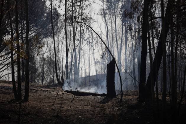 The number of ground personnel fighting the fire in Niebla has increased to 150, with 18 aerial resources. Area affected by the wildfire that broke out in the town of Niebla, Huelva. August 7, 2028, in Niebla, Huelva, Andalusia, Spain: Andalusia’s Forest Fire Emergency Plan (Plan Infoca) has increased the number of ground personnel from 80 to 150 this Friday to contain the forest fire that broke out Thursday afternoon in the Raboconejo area of Niebla, Huelva, which remains in the emergency phase, Operational Level 1, and which has forced the preventive evacuation of 23 residents from the hamlets of Raboconejo and Caballón. Likewise, 18 aerial resources continue to operate in the area. AUGUST 7, 2026 Niebla, Huelva, Andalusia, Spain Niebla,  Copyright: xClaraxCarrascox 7705143
