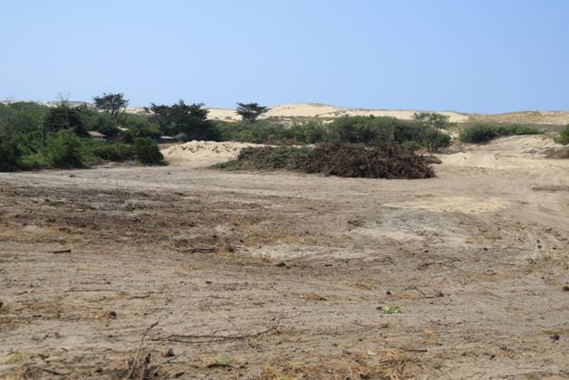 Saumos Fires, Gironde, Quentin Salinier, MAXPPP, July 29, 2026, Saumos Fires, Lège-Cap-Ferret: The firebreak at the tip—known as the Bartherotte firebreak—was constructed despite prohibitions against creating it in France, July 29, 2026 Saumos Fires Lège Cap Ferret The firebreak at the tip—known as the Bartherotte firebreak—was constructed by cutting down trees despite prohibitions against creating it Controversy  Copyright: xMAXPPPxQuentinxSalinierx 031A0085 QSA2026080790