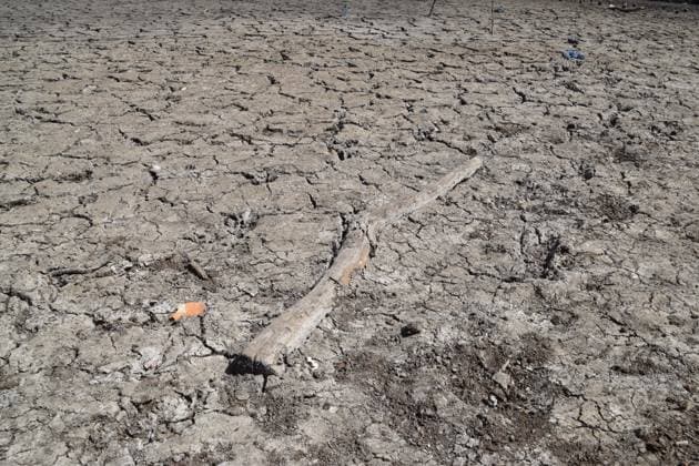 August 7, 2026, London, England, United Kingdom: A part of Hollow Pond in Leytonstone dries up as a drought persists in London and other parts of the UK. London United Kingdom  - ZUMAv130 20260807_zip_v130_007 Copyright: xVukxValcicx