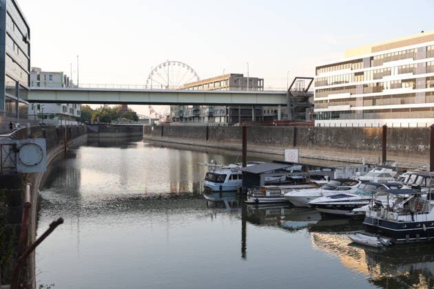 RECORD DATE NOT STATED Koeln GER, Natur, Klima, Sommer, Trockenheit, Rhein, Niedrigwasser, Koeln, Nordrhein-Westfalen, Deutschland, 06.08.2026 Der Pegelstand des Rheins in Koeln ist bedenklich niedrig und laesst die Schifffahrt nur eingeschraenkt zu GER, Natur, Klima, Sommer, Trockenheit, Rhein, Niedrigwasser, Koeln, Nordrhein-Westfalen, Deutschland, 06.08.2026 *** Cologne, Germany, Nature, Climate, Summer, Drought, Rhine, Low Water Levels, Cologne, North Rhine-Westphalia, Germany, August 6, 2026 The water level of the Rhine in Cologne is alarmingly low, allowing only limited navigation GER, Nature, Climate, Summer, Drought, Rhine, Low Water, Cologne, North Rhine-Westphalia, Germany, August 6, 2026 Copyright: xEibner-Pressefoto JuergenxAugstx EP_JAT