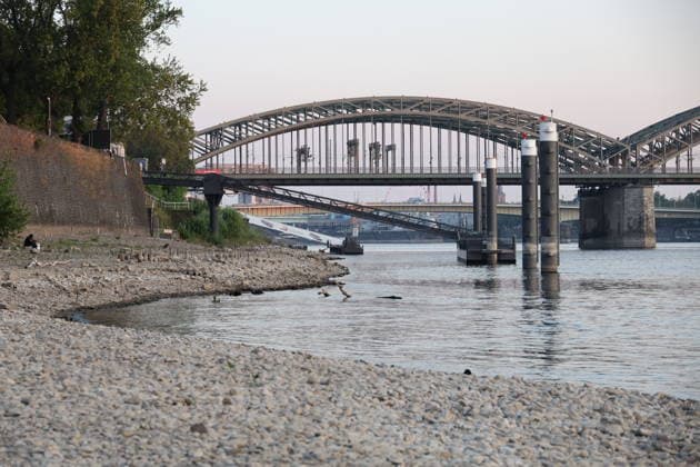 RECORD DATE NOT STATED Koeln GER, Natur, Klima, Sommer, Trockenheit, Rhein, Niedrigwasser, Koeln, Nordrhein-Westfalen, Deutschland, 06.08.2026 Der Pegelstand des Rheins in Koeln ist bedenklich niedrig und laesst die Schifffahrt nur eingeschraenkt zu GER, Natur, Klima, Sommer, Trockenheit, Rhein, Niedrigwasser, Koeln, Nordrhein-Westfalen, Deutschland, 06.08.2026 *** Cologne, Germany, Nature, Climate, Summer, Drought, Rhine, Low Water Levels, Cologne, North Rhine-Westphalia, Germany, August 6, 2026 The water level of the Rhine in Cologne is alarmingly low, allowing only limited navigation GER, Nature, Climate, Summer, Drought, Rhine, Low Water, Cologne, North Rhine-Westphalia, Germany, August 6, 2026 Copyright: xEibner-Pressefoto JuergenxAugstx EP_JAT